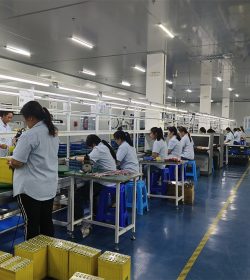 Employees are working in an orderly manner in production